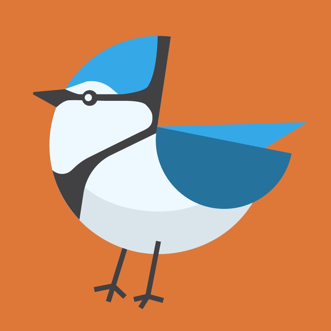 Blue Jay vector illustration