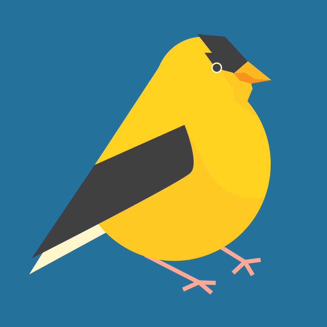 American Goldfinch vector illustration