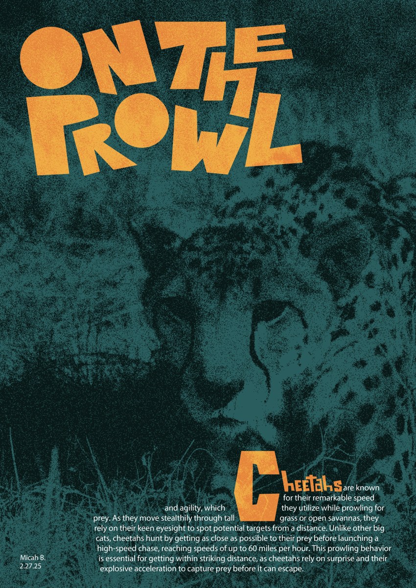 On the Prowl — cheetah poster