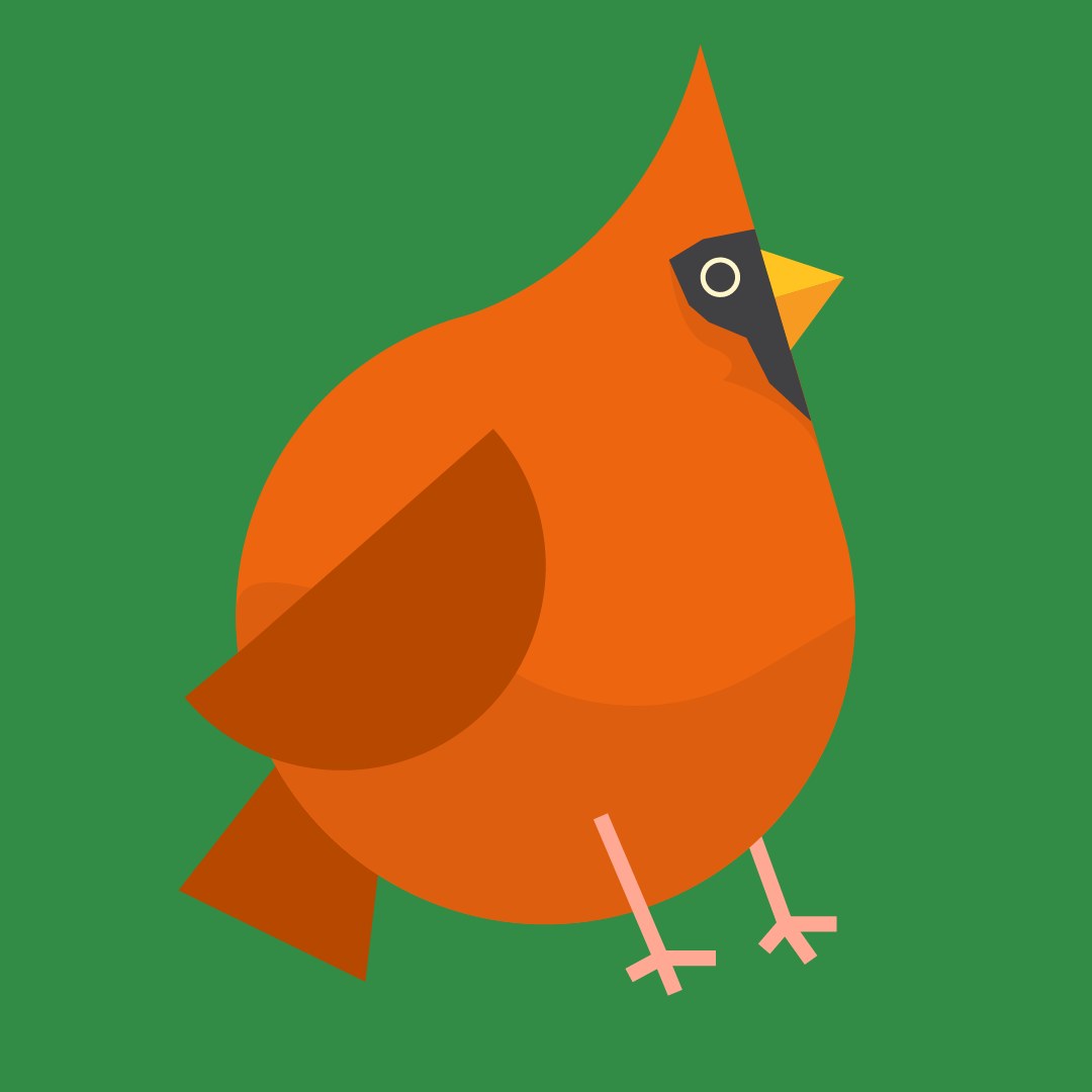 Vector Birds